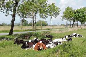 Einfach "WOW" - Imposante Altbauvilla mit großzügigem Raumkonzept an der Nordseeküste – Hauptstraße 78, 26969 Wesermarsch (Kreis) – Vorschaubild 34