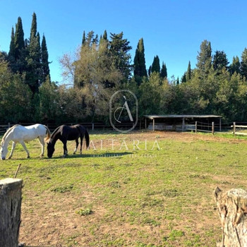 13.000 m² großes Anwesen mit Haus und Reitanlage.