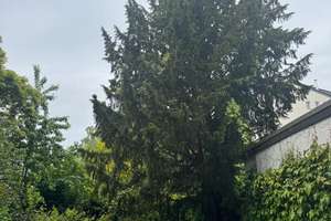 Renditestarkes Mehrfamilienhaus  in Top-Lage von Aachen – Augustastr 18, 52070 Kaiserplatz, Aachen – Vorschaubild 4