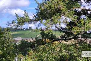 Ein Haus mit Geschichte und Charakter – großer Garten mit altem Baumbestand! – 97084 Heidingsfeld, Würzburg – Vorschaubild 20