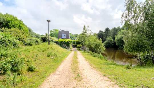 Bild von Beeindruckendes Anwesen mit Wald- und Tierbestand, Konzertsaal und Atelier in Ostfriesland!