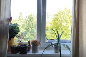 Property thumbnail 15