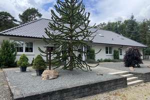 Freistehender Bungalow Haus in direkter Waldrandlage Kapitalanlage – Waldstr.. 11, 52372 Kreuzau – Vorschaubild 2