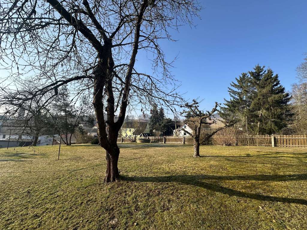 Immobilie in Rosenbach/Vogtland - Plauen 4 km: Dreiseithof mit Scheunen, Garten und Baugrund - Bild 2