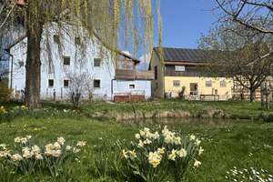Modernisiertes Mehrfamilienhaus mit Nebengebäuden in idyllischer Lage mit 4,3 h großem Anwesen – Hetzendorf 3, 91282 Betzenstein – Vorschaubild 17