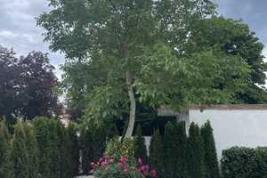 Wohnen in einer der besten Straßen Grünwalds! Ensemblehaus mit interessanter Gartenanlage – München (Kreis) – Vorschaubild 16