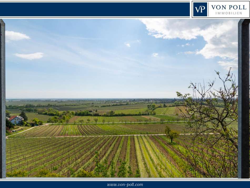 Blick über die Rheinebene
