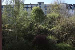 GEMÜTLICHes KAßBERG-NEST in RUHIGer Lage – Uhlichstraße 17, 9112 Kaßberg, Chemnitz – Vorschaubild 9
