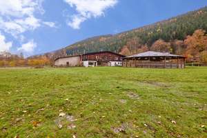 Reitanlage im Schwarzwald auf einem Erbpacht-Grundstück mit zwei Wohneinheiten! – Die vollständige Adresse der Immobilie erhältst du vom Anbieter., 75323 Bad Wildbad – Vorschaubild 3