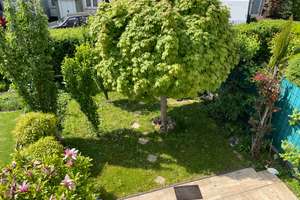 Moderne und gepflegte Maisonette-Wohnung mit eigenem Garten – Die vollständige Adresse der Immobilie erhältst du vom Anbieter., 51375 Schlebusch, Leverkusen – Vorschaubild 9