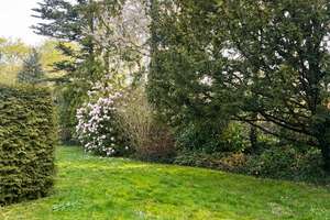 Familienfreundliches EFH mit großem Garten in schöner Lage von Nauheim – Storchenstr. 38, 64569 Nauheim – Vorschaubild 3