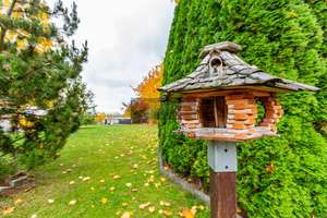 Schöner Bungalow mit traumhaften Blick in die Natur!! – Die vollständige Adresse der Immobilie erhältst du vom Anbieter., 7366 Harra – Vorschaubild 10
