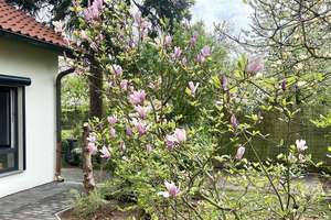 Property thumbnail 29