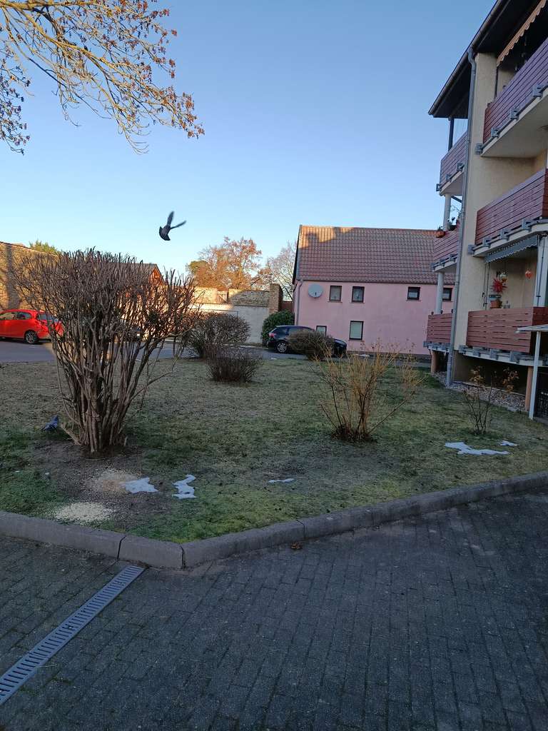 Immobilie in Haldensleben - Wohlfühloase in Süplingen – 62,55 m² in absoluter Ruhe - Bild 3