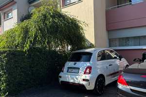 Suche eine-/einen nette-/n Nachmieter für meine gemütliche Wohnung – Zillertaler Str. 37A, 42349 Wuppertal – Vorschaubild 11