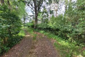 Viel Ruhe und viel zu tun! Einfamilienhaus mit Nebengebäude auf idyllischen Grundstück – Die vollständige Adresse der Immobilie erhältst du vom Anbieter., 26689 Apen – Vorschaubild 4