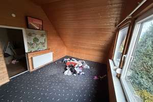 Handwerker aufgepasst: EFH - Haus auf ca. 498 m² Eigentumsgrundstück in BS Stiddien – Die vollständige Adresse der Immobilie erhältst du vom Anbieter., 38122 Timmerlah-Geitelde-Stiddien, Braunschweig – Vorschaubild 17