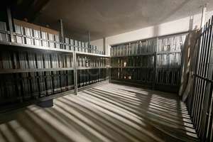 Zentrale 3-Zimmer-Wohnung in Top-Lage – sofort verfügbar – Die vollständige Adresse der Immobilie erhältst du vom Anbieter., 90459 Galgenhof, Nürnberg – Vorschaubild 7