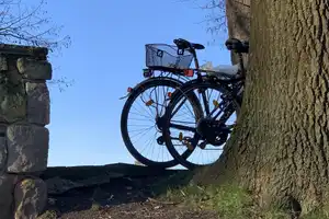 PROMENADENLAGE im X-Viertel – Münster – Vorschaubild 2