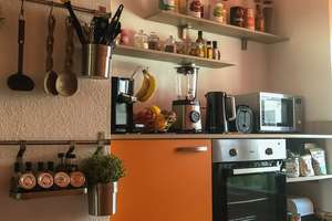 Neudorf Uni-Nähe, Wohnung (2Zi.KDB), mit sonniger Terrasse, Garten und Gartenhaus, renoviert – Sternbuschweg 4, 47057 Duissern, Duisburg – Vorschaubild 16