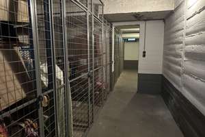 Property thumbnail 13