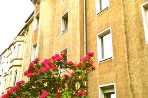 Helle, ansprechende 2 Zimmer Wohnung mit EBK in Duissern – Schweizer Straße 31, 47058 Duisburg – Vorschaubild 1