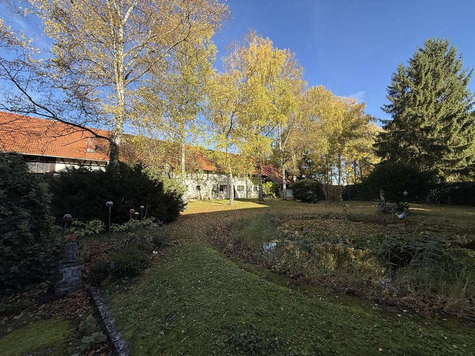 Seerosenteich, Birkenallee