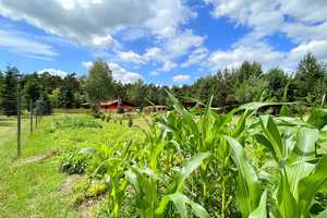 Wohnen im Einklang mit der Natur - Gemütlicher Wohnbungalow in Alleinlage – Teltow-Fläming (Kreis) – Vorschaubild 27