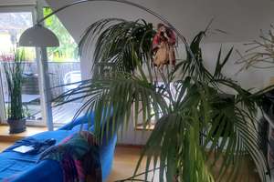 Zentral gelegene, ruhige, luftige, energieefiziente und loftartige Dachgeschosswohnung mit Galerie – Die vollständige Adresse der Immobilie erhältst du vom Anbieter., 90762 Stadtpark, Stadtgrenze, Fürth – Vorschaubild 13
