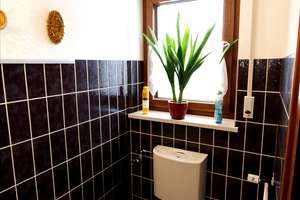 Waidmannsheil!! Familienfreundlicher Bungalow mit Jagdzimmer und Wildwerkstatt  in Haidlfing – Die vollständige Adresse der Immobilie erhältst du vom Anbieter., 94522 Wallersdorf – Vorschaubild 22