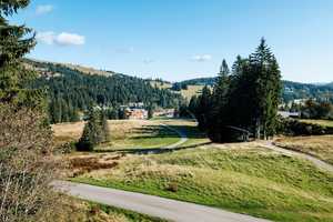 Feldberg: Bergchalet Grafenmatt und Ferienwohnung in einzigartiger Lage – Breisgau-Hochschwarzwald (Kreis) – Vorschaubild 16
