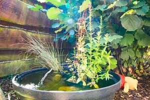 *** Geräumiges Haus in wunderbarer Sackgassenlage *** 
zentrumsnah, innovativ erbaut, toller Garten – Leer (Kreis) – Vorschaubild 53
