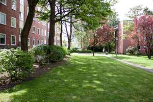 Property thumbnail 18