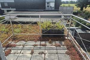 PROVISIONSFREI-Freistehendes Einfamilenhaus +Einliegerwhg,Garten,PV-Anlage/Klima,Garage+Stellplätze – Die vollständige Adresse der Immobilie erhältst du vom Anbieter., 47804 Forstwald, Krefeld – Vorschaubild 17