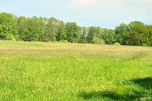 Naturparadies Rheinsberg: Bungalows auf großem Grundstück in Nähe zu zwei wunderschönen Seen – Ostprignitz-Ruppin (Kreis) – Vorschaubild 21