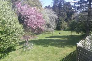 provisionsfreie Immobilie mit drei Wohneinheiten – Die vollständige Adresse der Immobilie erhältst du vom Anbieter., 24159 Pries, Kiel – Vorschaubild 6
