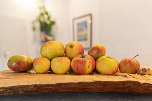 Property thumbnail 6