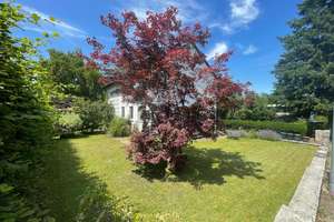 Toplage, Villen-Grundstück, 1.157qm, 2-Familienhaus, Karlsruhe-Grötzingen, € 1.095.000,- – Die vollständige Adresse der Immobilie erhältst du vom Anbieter., 76229 Grötzingen, Karlsruhe – Vorschaubild 3