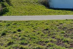 Einfamilienhaus mit Garage und Nebengebäuden (viele Ausbaumöglichkeiten) in Ruhiger Lage mit Bauland – Euskirchen (Kreis) – Vorschaubild 6