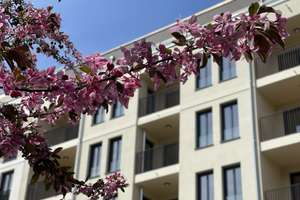 COOL DURCH DEN SOMMER * Neubau * EINBAUKÜCHE * Penthouse * Terrasse * Deckenkühlung * 10/26 – Brandvorwerkstr. 19, 4275 Südvorstadt, Leipzig – Vorschaubild 4
