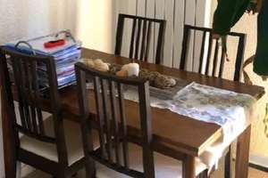 Gepflegte 3-Zimmer-Wohnung mit Garten, Hobbyraum und EBK in Stuttgart-Steckfeld – Die vollständige Adresse der Immobilie erhältst du vom Anbieter., 70599 Steckfeld, Stuttgart – Vorschaubild 7