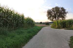 Property thumbnail 16