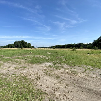 Direkt an der A27, ca. 18.000 m² Freifläche zu vermieten