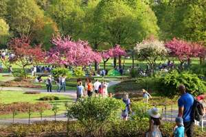 Gemütliche Gartenwohnung zur Miete – Ihre Oase am Westpark in München! – Die vollständige Adresse der Immobilie erhältst du vom Anbieter., 81373 Mittersendling, München – Vorschaubild 11