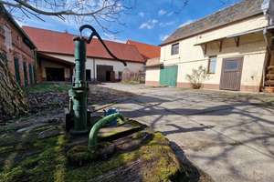 Willkommen in Mosigkau – Anhalter Straße 32, 6847 Mosigkau, Dessau-Roßlau – Vorschaubild 23