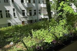 bezugsfrei und provisionsfrei - 2-Zimmer-Altbauwohnung in Berlin-Steglitz – ruhige Hofseite – Borstellstr 12, 12167 Steglitz, Berlin – Vorschaubild 13
