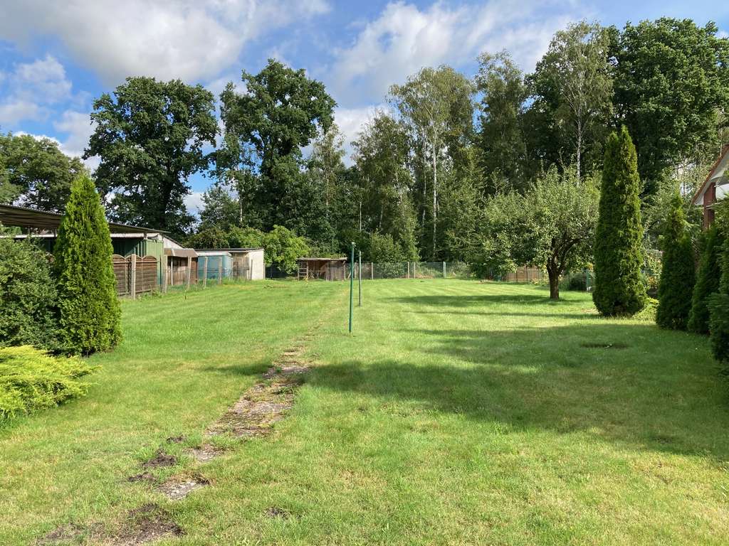 Immobilie in Bergfeld - 7-Zimmer-Haus mit Nebengebäuden für Gartenfreunde - Bild 3