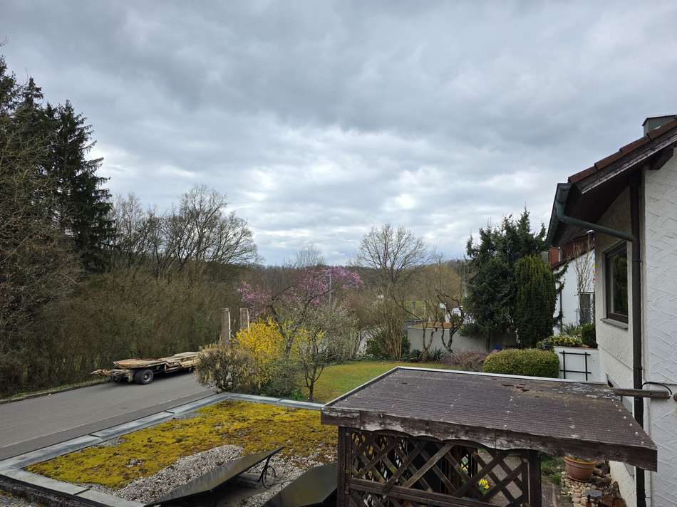 Ausblick