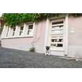 Extravagante Maisonette im Herzen der Altstadt!