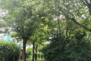 Property thumbnail 9